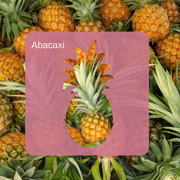 95785d224910597.6813883e69458