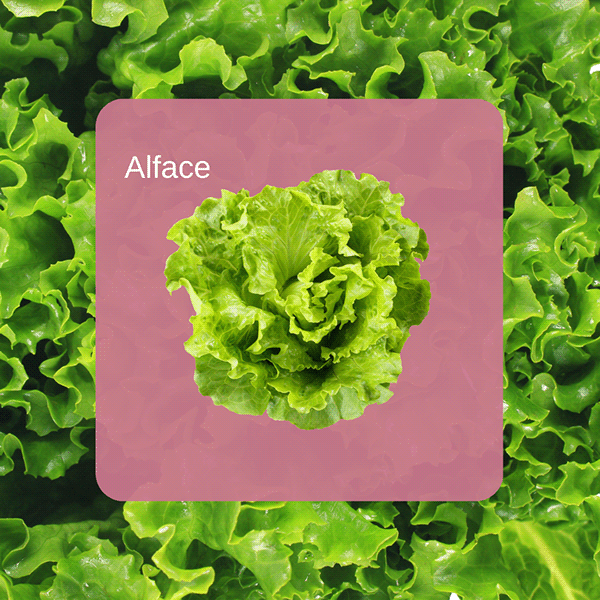 9dc85a224910597.6813883e68627